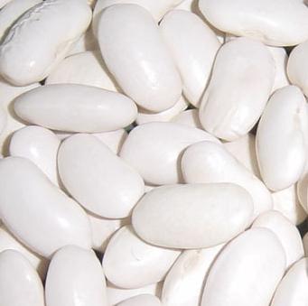 White Kidney Bean Extract